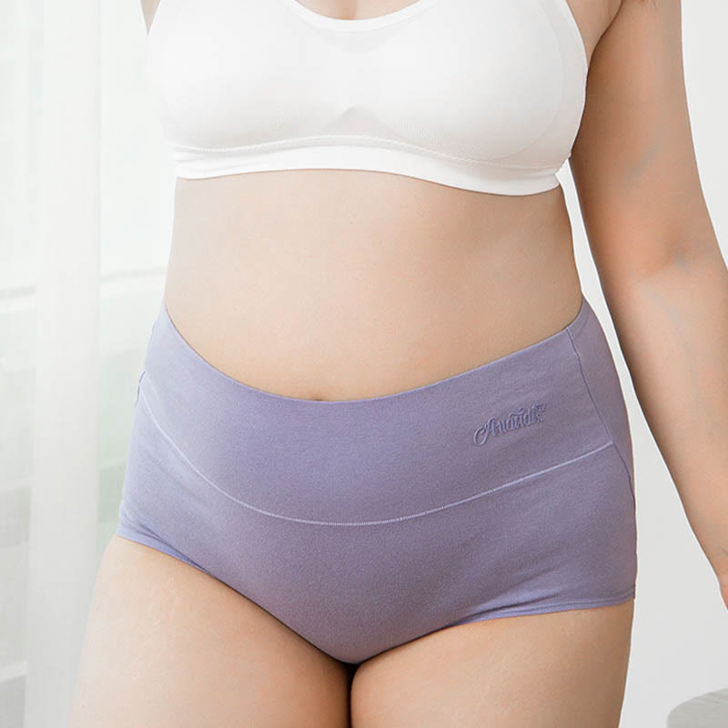Plus Size High Waist Stretchy Panty(4 Packs) - image 9