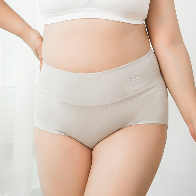 Plus Size High Waist Stretchy Panty(4 Packs) - image 5