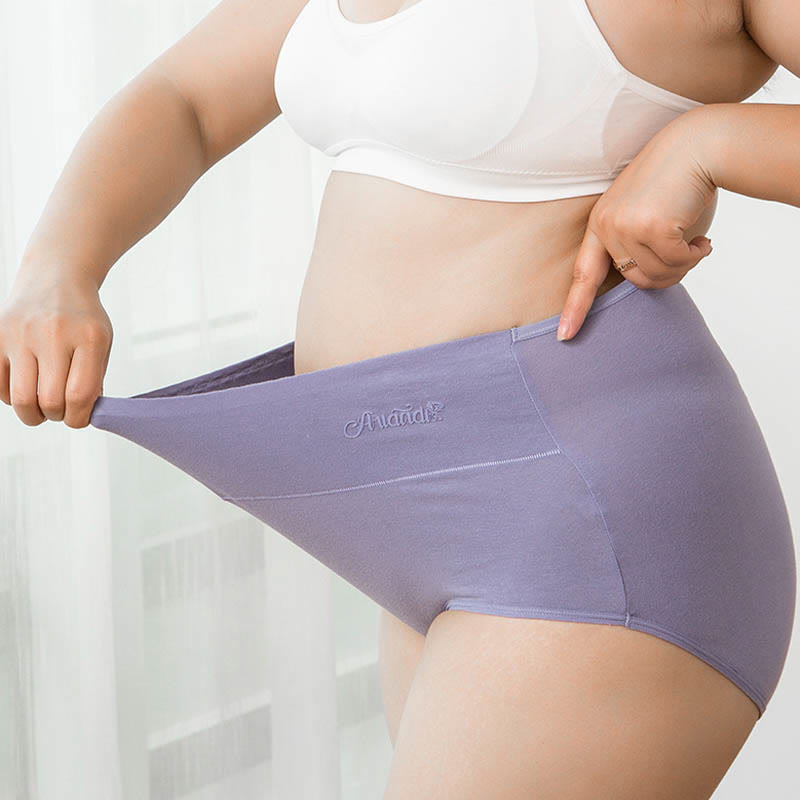 Plus Size High Waist Stretchy Panty(4 Packs) - image 8