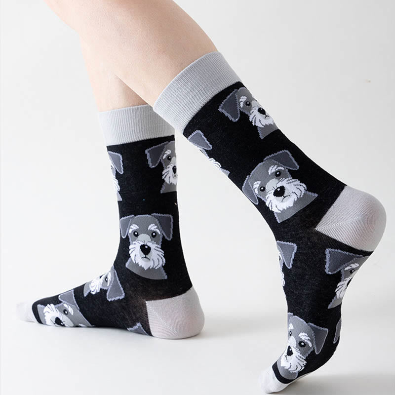 Panda Dog Cat Quarter Socks(5 Pairs) - image 4