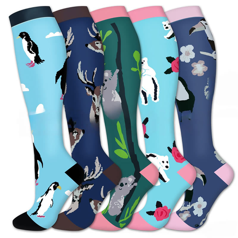 Koala Penguin Compression Socks(5 Pairs) - Multicolor - S/M - image 0