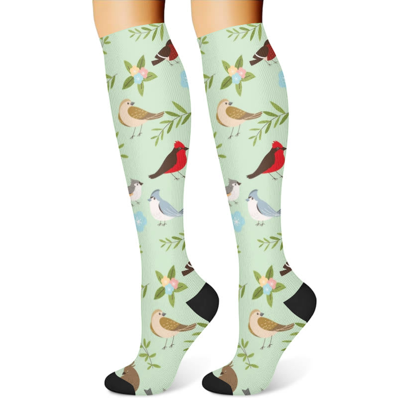 Spring Flower Birds Compression Socks(3 Pairs) - image 4