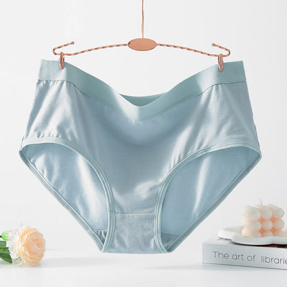 Simple High Waisted Strentch Panty(4 Packs) - image 17