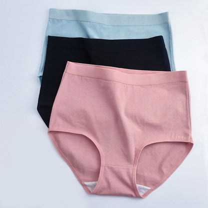 High Waist Cotton Panty(6 Packs) - image 9