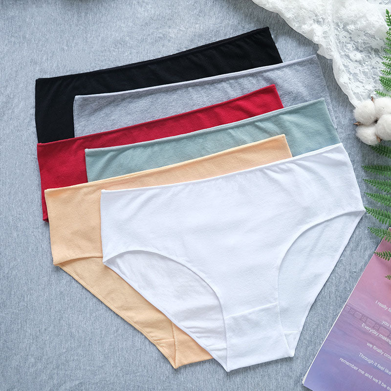 Full Coverage Hipster Panty(6 Packs) - Multicolor - 2XL - image 8