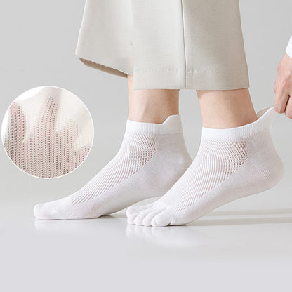 Summer Style Alignment Socks(8 Pairs) - image 4