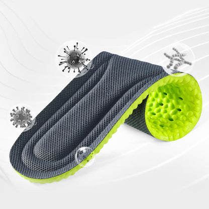 Plus Size Wormwoods Breathable Shoe Insoles