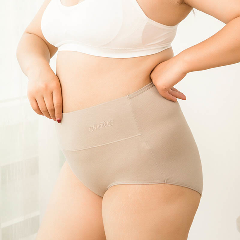 Plus Size High Waist Stretchy Panty(4 Packs) - image 7