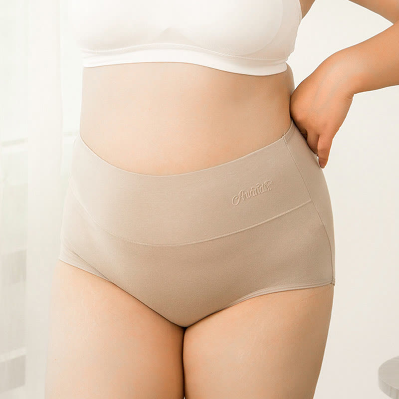 Plus Size High Waist Stretchy Panty(4 Packs) - image 6