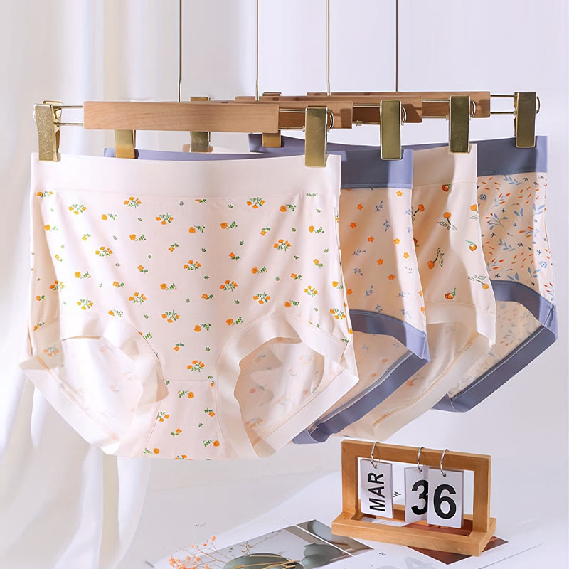 Elegant Flowers Panty(4 Packs) - Multicolor - 3XL - image 5