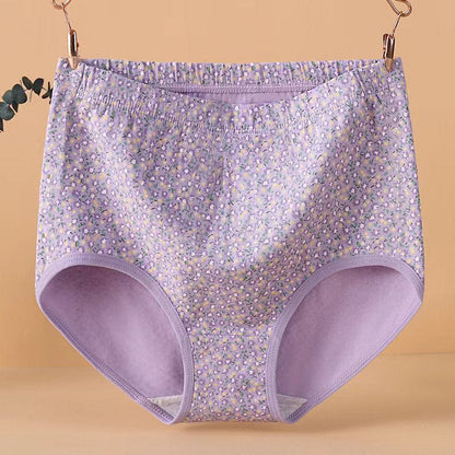 High Waist Jacquard Panty(4 Packs) - image 2