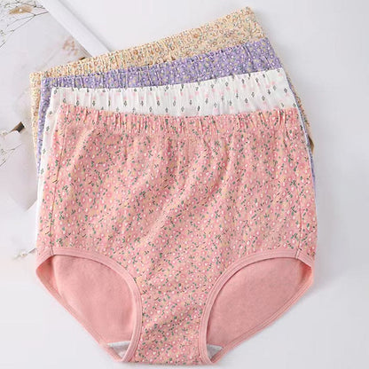 High Waist Jacquard Panty(4 Packs) - Multicolor - 3XL - image 0