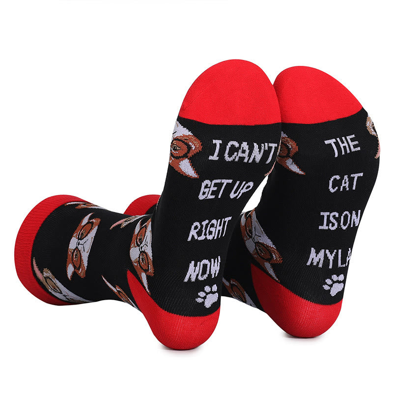 Glasses Cat Quarter Socks(5 Pairs) - image 7