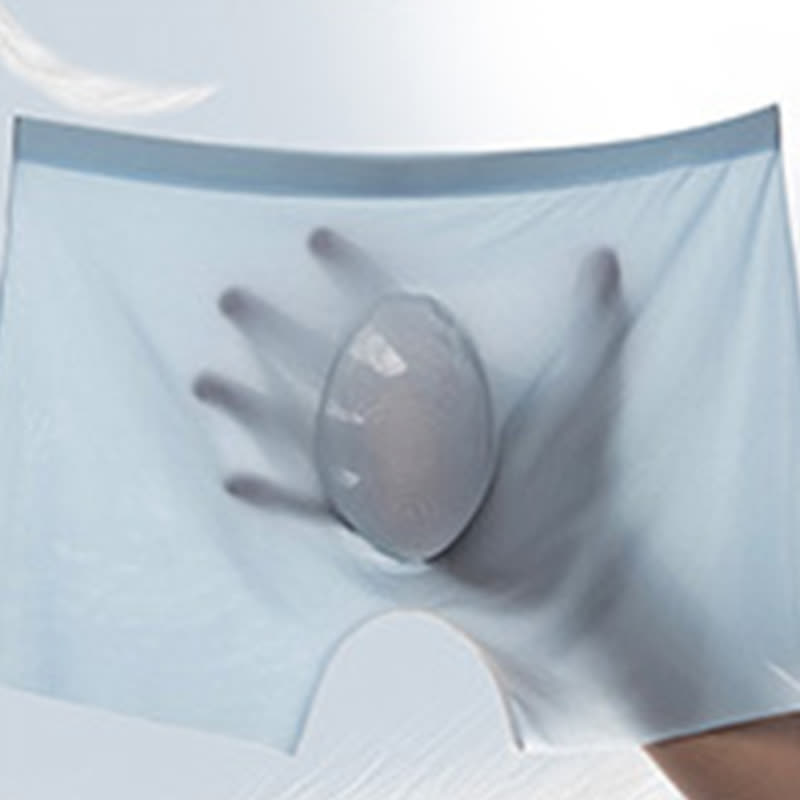 Breathable High Elastic Men's Ice Silk Boxer Briefs(3 Packs) - image 1