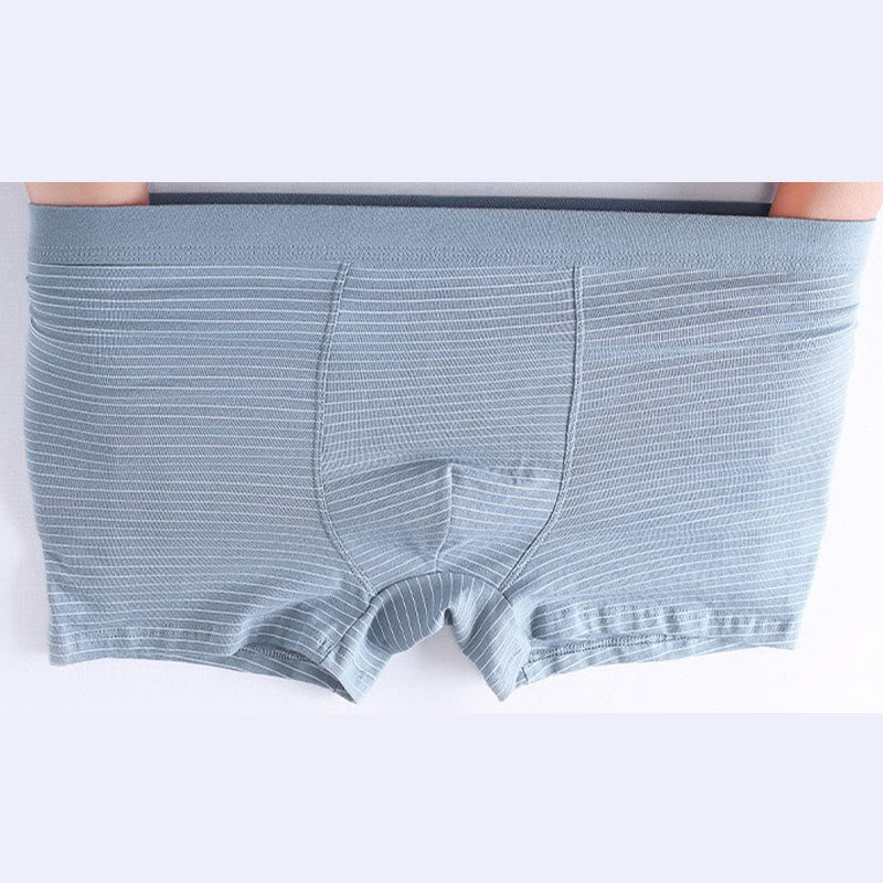 Cotton Stripe Boxer Briefs - image 8