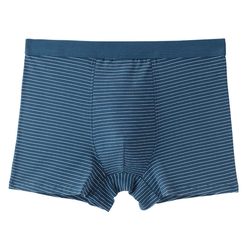Cotton Stripe Boxer Briefs - Dark Blue - 9XL - image 9