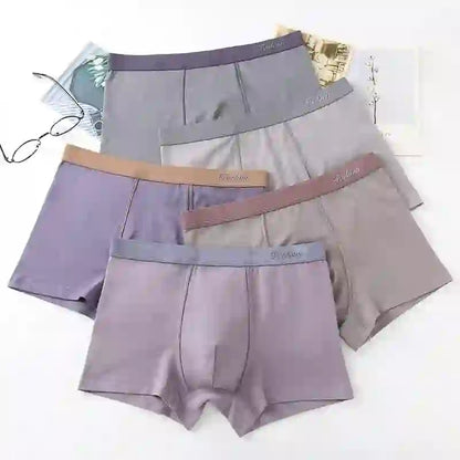 Solid Color Boxer Briefs - image 1