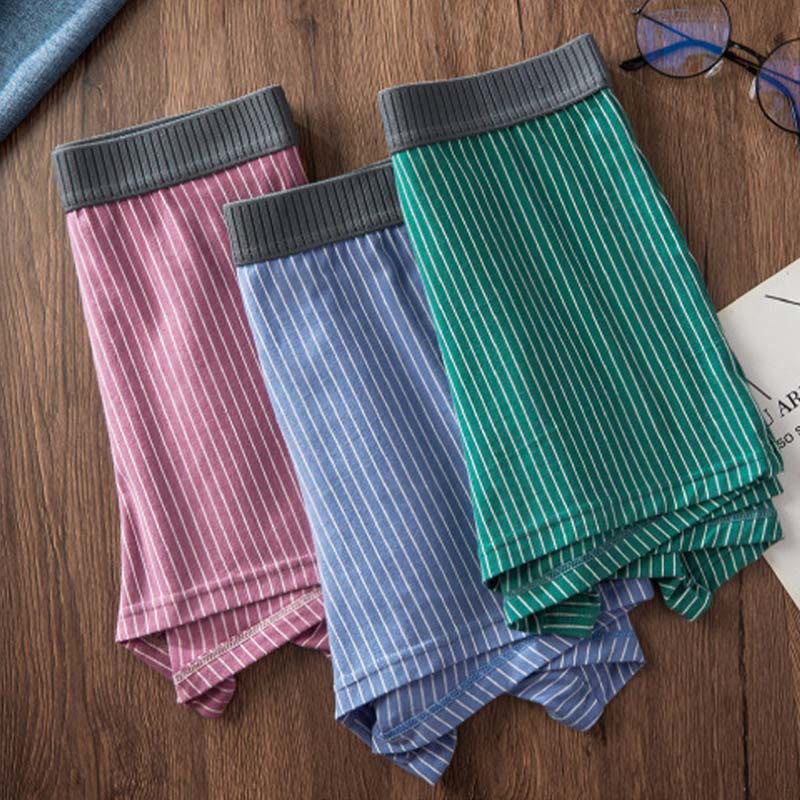 Classic Stripes Boxer Briefs - image 3