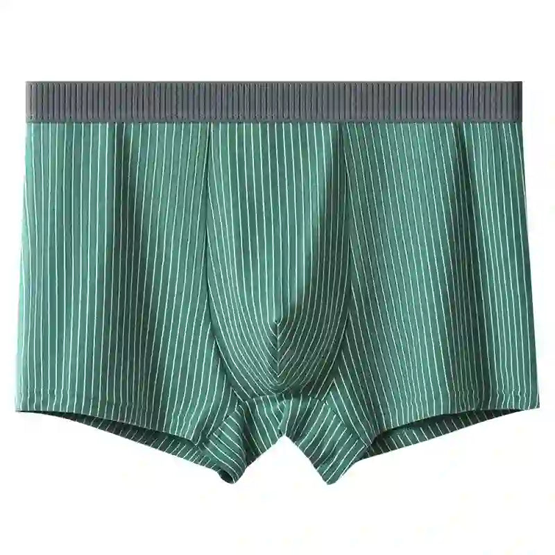 Classic Stripes Boxer Briefs - Green - 10XL - image 5