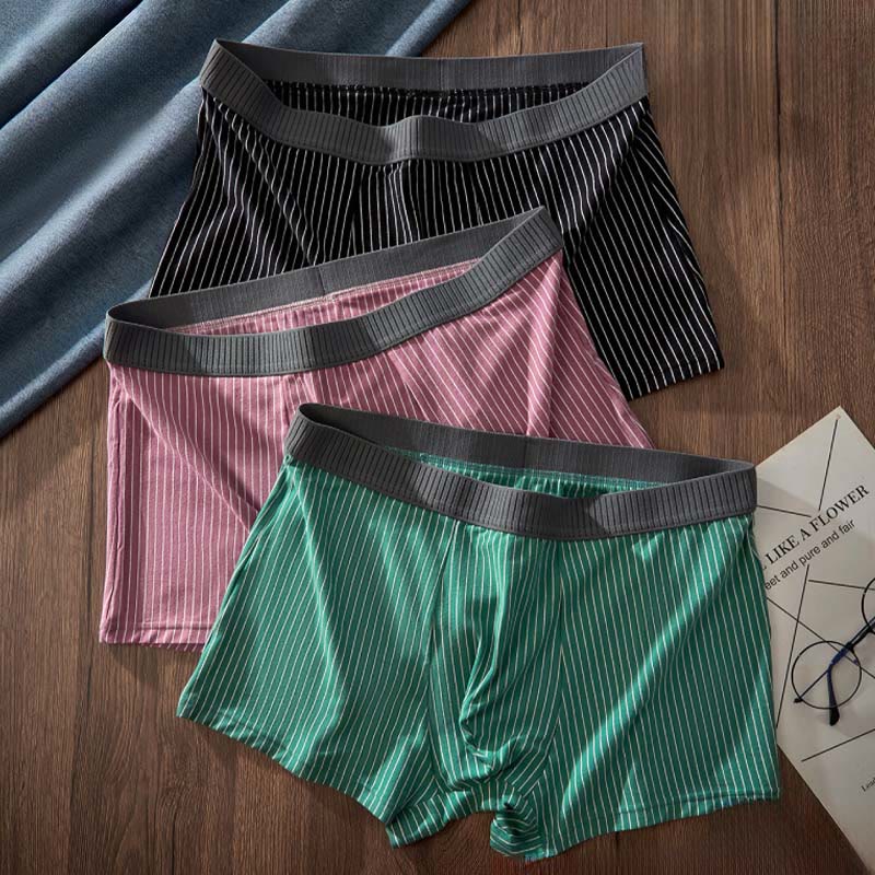 Classic Stripes Boxer Briefs - image 1