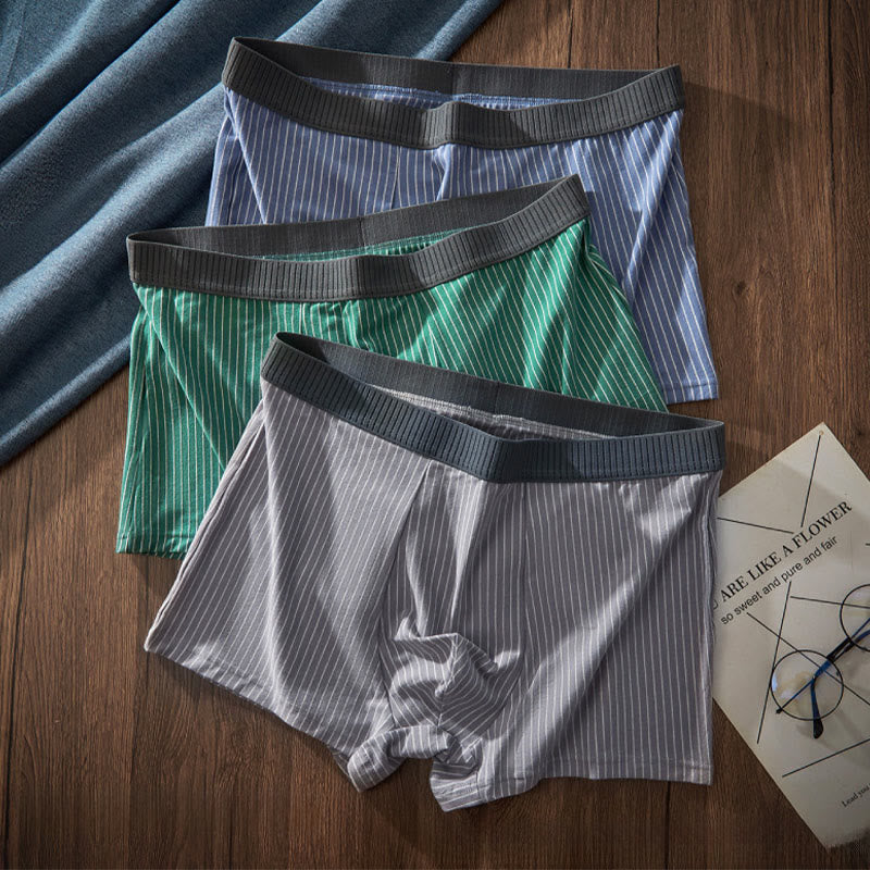 Classic Stripes Boxer Briefs - image 2
