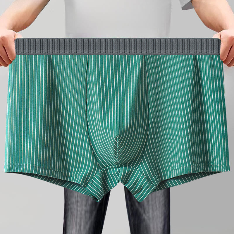 Classic Stripes Boxer Briefs - image 0