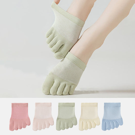 Cotton Soft Alignment Socks(5 Pairs) - image 0