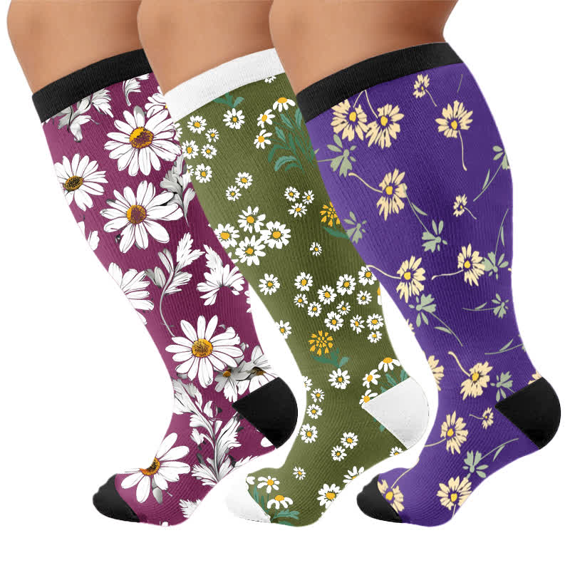 Plus Size Daisy Floral Compression Socks - Multicolor(3 Pairs) - 4XL - image 1