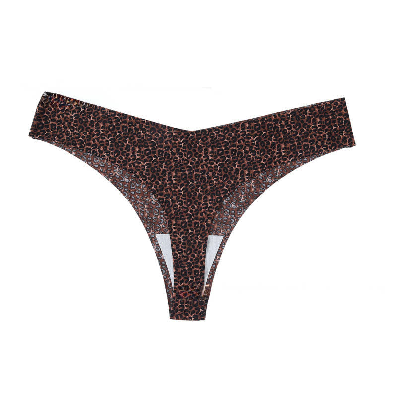 Wild Zebra V Cut Panties(4 Packs) - Brown - XL - image 6
