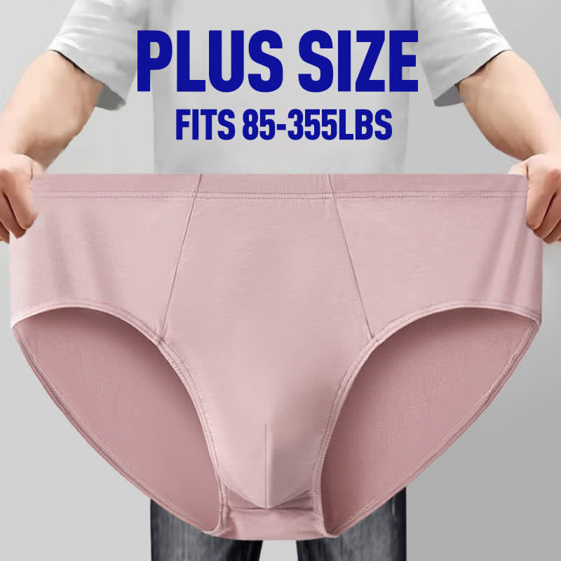 Plus Size Simple High-Waisted Strentch Hip Briefs(2 Packs) - image 0