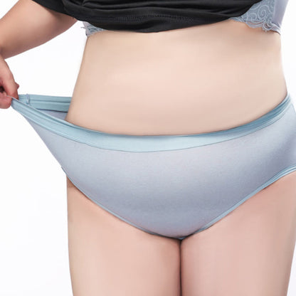 Simple High Waisted Strentch Panty(4 Packs) - image 4
