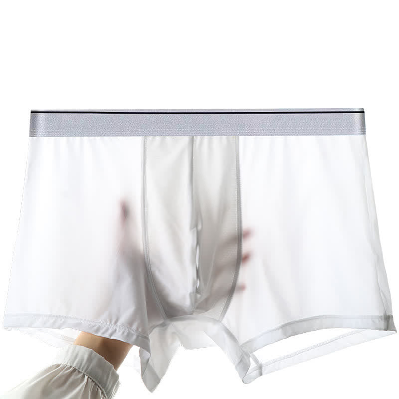 Plus Size Ice Silk Ultra-Thin Briefs(1 Pack) - image 1