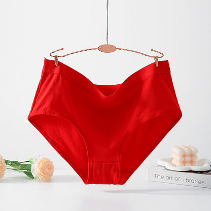 Simple High Waisted Strentch Panty(4 Packs) - Red - 5XL - image 10