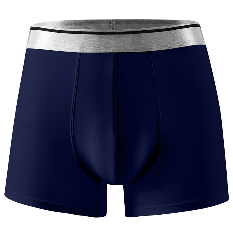 Plus Size Ice Silk Ultra-Thin Briefs(1 Pack) - Royal Blue - 12XL - image 5