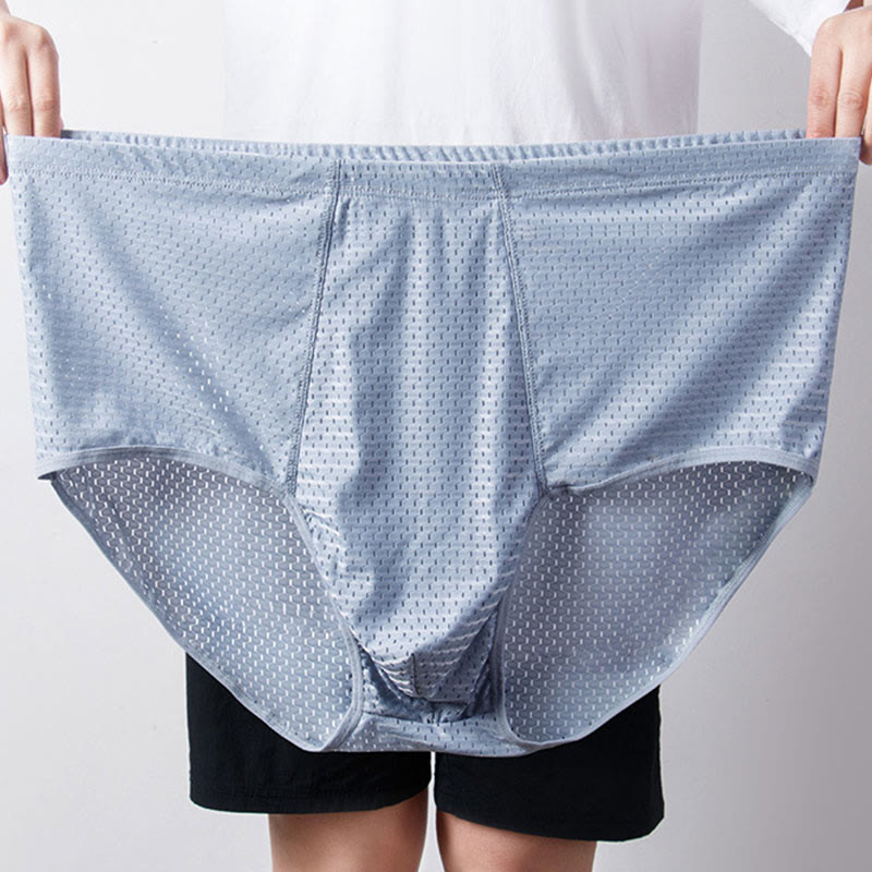 Plus Size Ice Silk Hip Briefs(1 Pair) - image 0
