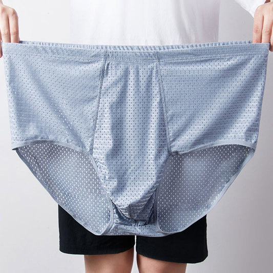 Plus Size Ice Silk Hip Briefs(1 Pair) - image 0